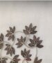 Embroidered Sheer Curtain Fabric - Image 5